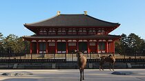Explore the Timeless Heritage of Nara from Kyoto