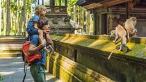 One Day Tour Ubud With Private Guide