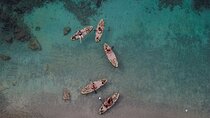 2 Hour SUP Safari Adventure in Cala Ratjada Mallorca