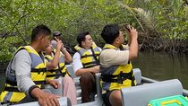 Bintan Mangrove and Fireflies Tour Eco Adventure Experience