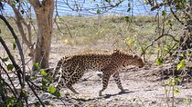 A Private Full Day Chobe Tour -Bostwana