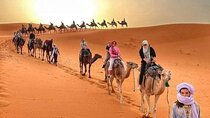 2Day Sahara Desert Adventure from Fes to Merzouga with Camel Trek