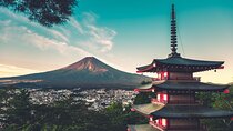 Private Customizable Mt Fuji and Hakone Tour with English Driver