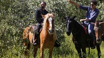From Florence: Horseback Riding & Tuscan Meal in Chianti