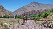 Journey through Atlas Mountains and Berber Villages - Marrakesh