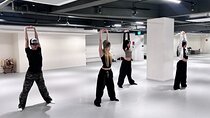 K-Pop Dance class and Ramyeon Picnic Experience in Seoul