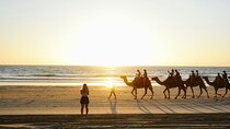 Combo E-Bike Adventure with Camels and Lunch in Cabo