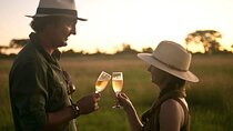 Hwange National Park Day Safari and Bush Picnic