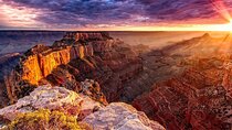 Small Group Grand Canyon, Hoover Dam and Joshua Tree Forest Tour