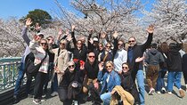 Kanazawa Highlight by Private Car 