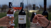 Explore 3 Awarded Wineries with Wine Tasting & Local snacks