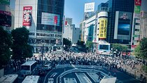 Tokyo Essentials Iconic Neighborhoods and Local Secrets