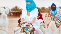 Camel Ride Two hour in Palmeraie Grove with Transfer - Marrakesh