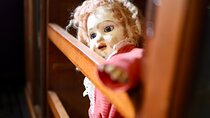 Dublin Museum of Curiosities