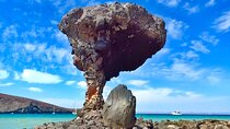 Tour to La Paz Playa Balandra Malecón and Todos Santos