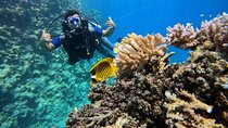 Scuba Diving Discovery Experience 