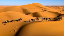 3 Day Merzouga Desert Adventure from Marrakech with Camel Trek