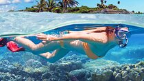 Bloo Lagoon Snorkeling East Bali Includes Transportation & Lunch