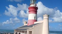 Cape Adventure with Penguins and Wine Tasting