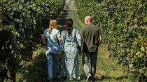 From Venice: Wine Tour in the Euganean Hills