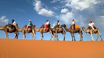 2 Days and 1 Night Sahara Desert Tour from Fes To Fes