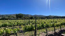 Morning Half Day Carmel Valley Wine Tasting Tour 