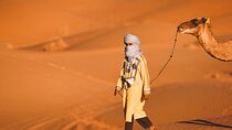 2-Day Marrakech to Zagora Desert