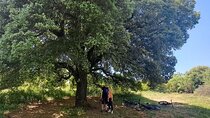 e-MTB Tour - Durrells Farm & Crab Lake [30Km - 18Mi]