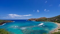 Private Tour Oahu-Circle Island-Customizable-Full or Half Day