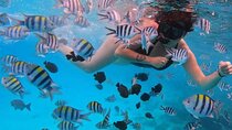 Mnemba Island Snorkeling Adventure with Dolphins & Coral Reefs