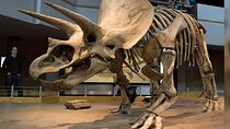 Exclusive Drumheller Private Tour from Calgary