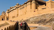 1-Day Golden Triangle Tour: Delhi, Agra, Jaipur