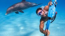Subwing Kneeboard and Water Ski Experience with Transfer–Hurghada