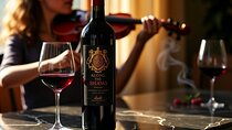 Cape Town Tasting Exclusive Pinotage Wine Private Tour