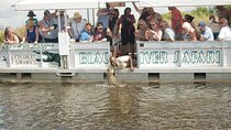 Black River Safari