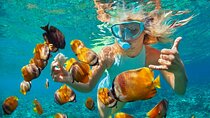From Sanur or Ubud: Snorkeling at Blue Lagoon by Group Transfers