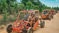 Punta Cana Zipline, Buggies and Horseback Riding with Lunch