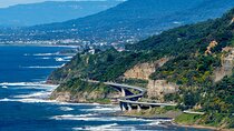 Escape Sydney: Sea Cliff Bridge, Wildlife, Kiama Coast Private 