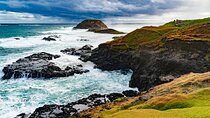 Phillip Island Private Tour: Penguin Parade & Wildlife Day