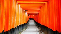 Kyoto Morning Tour with English Speaking Guide