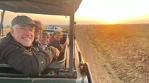 Nairobi National Park Half Day Tour with Landcruiser with Pickup