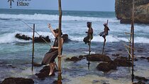Full Day Private Tour From Colombo Sri Lanka
