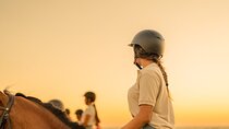 Palmeraie Horseback Adventure & Round-Trip Transfers - Marrakech