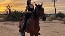 Desert Horseback Ride One Hour with Transfer - Marsa Alam