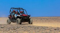 Buggy Adventure in Palmeraie Desert with Transfer - Marrakesh
