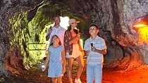 Hawai‘i Volcanoes National Park Shuttle Tour