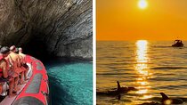 Alcudia: 3-hour Speedboat Adventure with Snorkel
