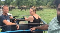 Sigiriya Rock Fortress & Minneriya National Park Private Safari