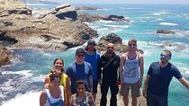 Transfer Tour: From Lisbon to Lagos