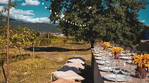 Pompeii & Mount Vesuvius Dinner by Night | Family Table